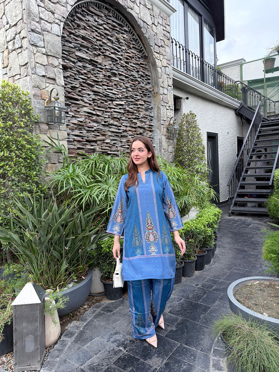 MAHIRA PANEL CO-ORD